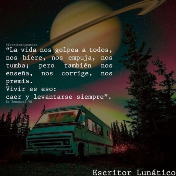 Meet your Posher, Rocha - Picture 1 of 1